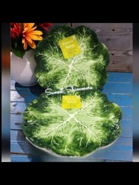 2pc Set Embossed Cabbage Rose Scalloped Melamine Dinner Plates Set New